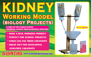 KIDNEY-WORKING-MODEL