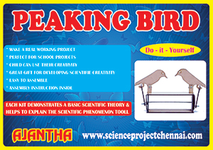 PEAKING-BIRD-copy