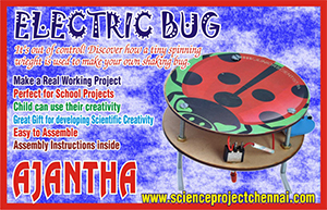 electric-bug